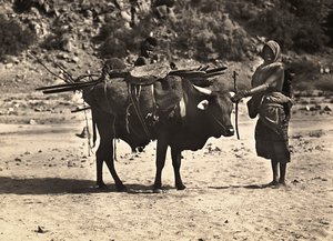 „Birodalom építése” a fasiszta korban: nomád, 1936.09.05. (f/w fotó) alkotó: Modestino Baldinetti