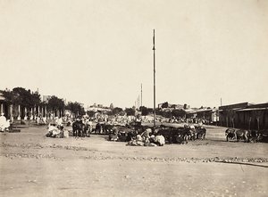 „Birodalom építése” a fasiszta korban: Asmara ősi piactere, 1936.09.05. (f/w fotó) alkotó: Modestino Baldinetti
