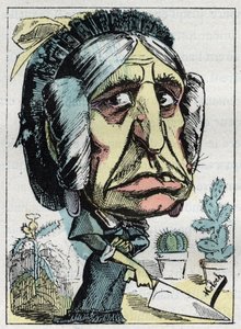 A „” mostohaanya „” (Belle mere) allegóriája Touchatout „” Le Trombinoscope”-ban, B. Moloch 1882-es karikatúrája (1849-1909). Magángyűjtemény. alkotó: Moloch