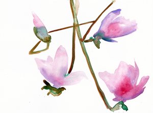 Magnolia 1, 2022 (akvarell, Langton, 300 g/m2, hidegen sajtolt papír)