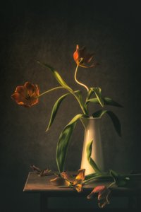 Hangulatos tulipáncsendélet