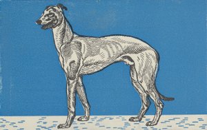 Agár, 1912.