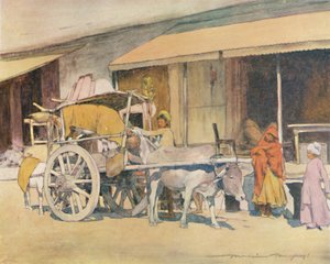 Bullock-kocsi, Ajmere, 1905 alkotó: Mortimer Ludington Menpes