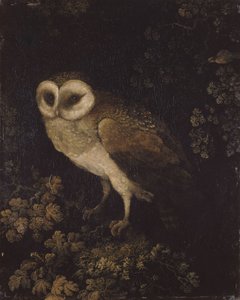 Bagoly, 1780-1790.