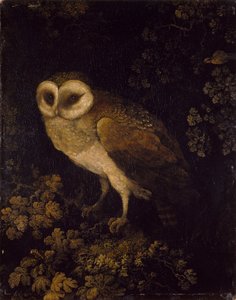 Bagoly, 1780-90