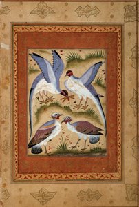 Madarak. Miniatűr gouache a moghole iskolából. 1590-1600. Párizs, Guimet Múzeum, Ázsiai Művészeti Nemzeti Múzeum