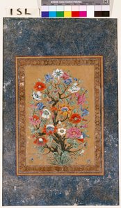 Mitikus növény alkotó: Mughal School