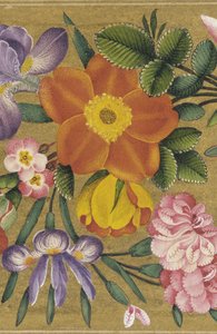 Oldal a Szentpétervári Albumból, India, 1727 (szín arany alapon) alkotó: Muhammad Sadiq