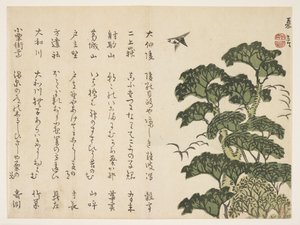 Nagy fa és madarak, 1830-44 körül (színes fatömbnyomat) alkotó: Murata Kagen
