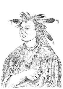 The Bloody Hand, a Riccaree törzs egyik vezére, 1841.