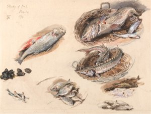 Tanulmány a halakról, Velence alkotó: Myles Birket Foster
