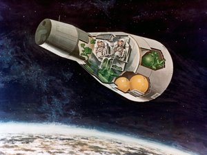 NASA Hold-modul, 1970-es évek. alkotó: NASA Images