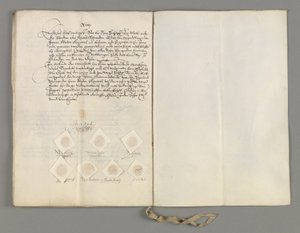 A tábornok és a svéd király között létrejött hágai szerződés tanúsítványa, hogy tisztázza a szerződés második cikkét április 5 -én alkotó: Unbekannt Unbekannt
