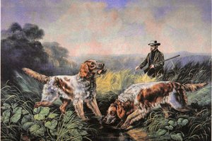 American Field Sports: Visszakeresés alkotó: N. and Ives J.M. (after) Currier