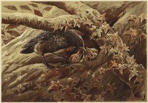 Egy zajos gyerekszoba (litho)