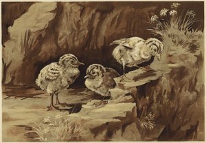 A sirályok szikla (litho)