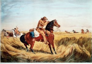  alkotó: N. and Ives J.M. (1824-95) Currier