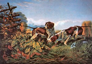 American Field Sports: Egy ponton alkotó: Currier and Ives