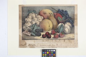 Fruits Of The Season (kézzel színezett litográfia)