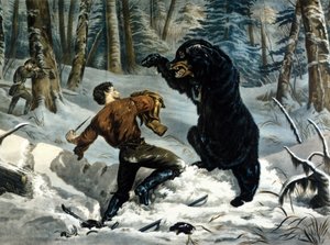 A csapdák élete (professzionális vadászok) Kanadában: Egy vadászt megtámad egy Grizzly Bear. Illusztráció: Yves és Currier.