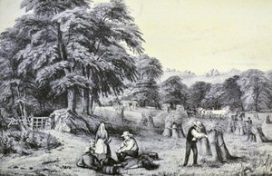 Currier & Ives illusztráció 19. század. Aratás alkotó: N. and Ives, J.M. Currier