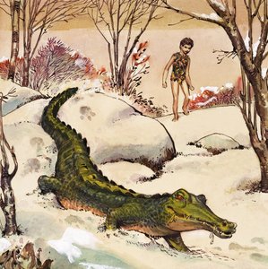 Peter követi a krokodilt, illusztráció J.M. Barrie 