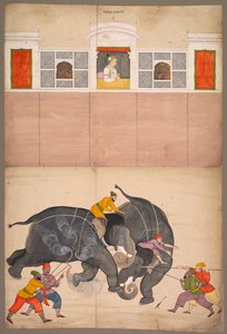 Két elefánt harcol egy udvaron Muhammad Shah előtt, c. 1730-40.