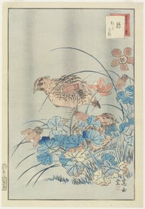 Two Quail in Bush, 1859 (színes fatömb nyomat)