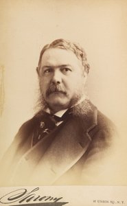 Chester Alan Arthur alkotó: Napoleon Sarony
