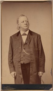 Henry Ward Beecher alkotó: Napoleon Sarony