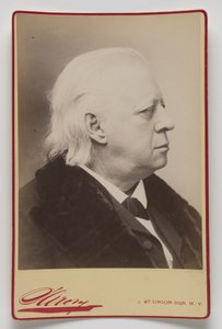 Henry Ward Beecher alkotó: Napoleon Sarony