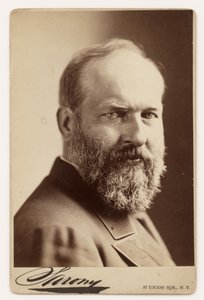 James Garfield alkotó: Napoleon Sarony