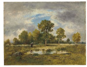 Viperák medencéje, 1873