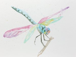 Pasztellszínű szitakötők egy ágon alkotó: Natalie Bruns