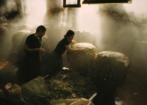 Munkások válogatják a feldolgozandó állatbőröket egy régi cserzőüzemben Salemben, Massachusettsben alkotó: Nathan Benn
