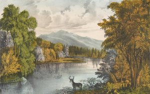 Moosehead Lake, Maine, 1857-72., 1857-72. Alkotók: Nathaniel Currier, James Merritt Ives, Currier és Ives. alkotó: Currier and Ives