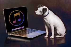 Mesterének laptopja, 2023 (digitális) alkotó: Neale Osborne