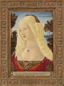 Hölgy portréja, c. 1485. alkotó: Neroccio de Landi