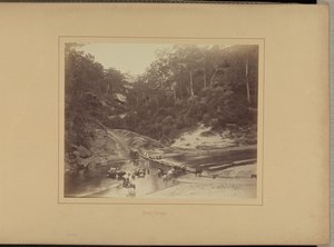 Upper Nepean alkotó: New South Wales Government Printing Office