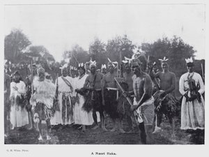 New Plymouth, Új-Zéland: egy maori haka (f/w fotó)