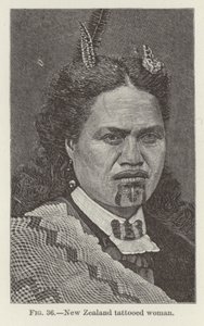 Új-zélandi tetovált nő alkotó: New Zealand School