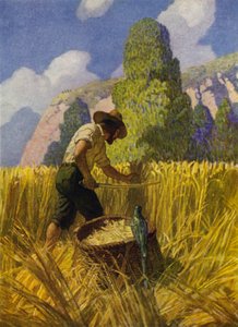 Illusztráció Robinson Crusoe-hoz (színes litó) alkotó: Newell Convers (after) Wyeth