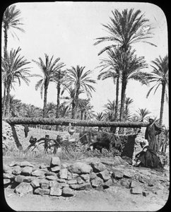 Vízikerék, Egyiptom, c1890