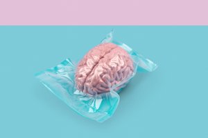Brain, 2020 (fénykép)