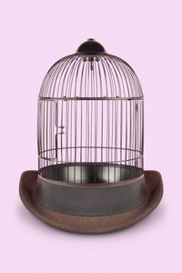 Mental Cage, 2020 (fotó)
