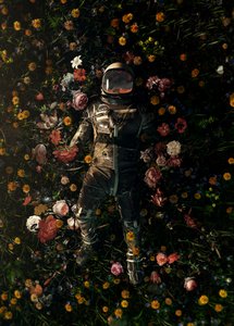 Kozmikus virágos álom alkotó: Nicebleed