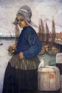 A galamb (színes litó)