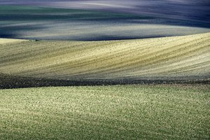  alkotó: Nicola Figliuolo