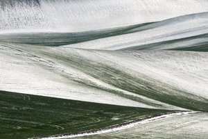  alkotó: Nicola Figliuolo
