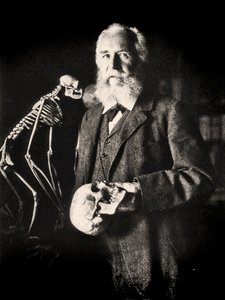 Ernst Haeckel portréja egy majom csontváza mellett, 1860 körül (fotó)